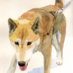 ご依頼による犬の肖像画・似顔絵（水彩画）